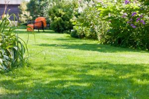 travaux jardin et paysage Expiremont